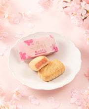 將圖片載入圖庫檢視器 【3/6~3/15預購期間/預計3月31號左右抵達台灣】 . 1956年創業 愛媛県瀬戸内銘菓 奶油蛋黃餡饅頭 迷你母惠夢