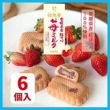 將圖片載入圖庫檢視器 【3/6~3/15預購期間/預計3月31號左右抵達台灣】 . 1956年創業 愛媛県瀬戸内銘菓 奶油蛋黃餡饅頭 迷你母惠夢