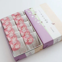 將圖片載入圖庫檢視器 【3/31-4/15預購期間/預計4月25號左右抵達台灣】1912年創業 廣島縣宮島銘菓 紅葉堂 10入盒裝