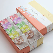 將圖片載入圖庫檢視器 【3/31-4/15預購期間/預計4月25號左右抵達台灣】1912年創業 廣島縣宮島銘菓 紅葉堂 10入盒裝