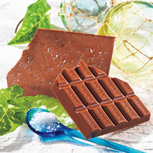 將圖片載入圖庫檢視器 【10/27~11/30預購期間/預計12月15號左右抵達台灣】日本ROYCE' 沖縄石垣島限定 沖縄石垣鹽味巧克