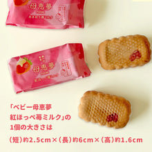 將圖片載入圖庫檢視器 【3/6~3/15預購期間/預計3月31號左右抵達台灣】 . 1956年創業 愛媛県瀬戸内銘菓 奶油蛋黃餡饅頭 迷你母惠夢