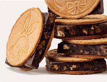 將圖片載入圖庫檢視器 【10/28-11/10預購期間/預計11月30號左右抵達台灣】 鎌倉五郎本店 鎌倉巧克力夾心餅乾