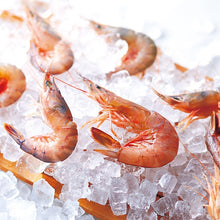 將圖片載入圖庫檢視器 ☆現貨(24小時內出貨) . 昭和天皇皇后両陛下献上 1889年創業愛知縣坂角總本舗 「ゆかり蝦餅 蝦子仙貝」