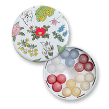 將圖片載入圖庫檢視器 【10/21-10/30預購期間/預計11月25號左右抵達台灣】北海道六花亭 六花の露 酒糖 鐵盒裝