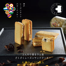 將圖片載入圖庫檢視器 ☆現貨(24小時內出貨) . 神戶BISPOCKE 神戶葡萄乾奶油 夾心餅乾 盒裝 (附 禮紙袋)