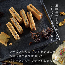 將圖片載入圖庫檢視器 ☆現貨(24小時內出貨) . 神戶BISPOCKE 神戶葡萄乾奶油 夾心餅乾 盒裝 (附 禮紙袋)