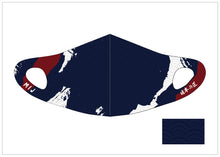 將圖片載入圖庫檢視器 ☆台灣現貨 日本VALETTE可清洗而對肌膚溫和的涼爽3D設計口罩 (青海波)大人用