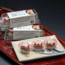 將圖片載入圖庫檢視器 【預購產品 / 下單2-3個星期後會抵達台灣】日本熱海市名產品 熱海杉本鰹節商店 味噌玉【がんばれ熱海】