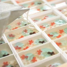 將圖片載入圖庫檢視器 【8/22~8/31預購期間 / 預計9月10號左右抵達台灣】. 1803年創業 京都市京菓子廠商 亀屋良長  「夏祭金魚 琥珀羊羹」