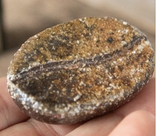 將圖片載入圖庫檢視器 ☆現貨(24小時內出貨). 岡山縣life and coffee咖啡廳 「備前珈琲玉」