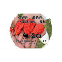 將圖片載入圖庫檢視器 【預購產品/預計11月5號左右抵達台灣】. 沖繩縣產 哈瓦那辣椒5倍辣度アカハチ唐辛子 激辣辣醬 60ml