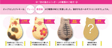 將圖片載入圖庫檢視器 【5/28-6/10預購期間/預計6月30號左右抵達台灣】 京都曲奇餅和果醬專賣店 貓咪背影餅乾 10個 盒裝