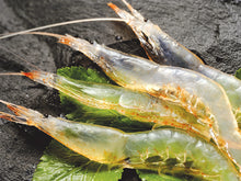 將圖片載入圖庫檢視器 【3/21~3/31預購期間/預計4月20號左右抵達台灣】 北陸富山縣名產物 日本海の鮮味 富山吟撰堂 紅白壽蝦仙貝 (19片盒裝 /11片袋裝 )