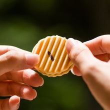 將圖片載入圖庫檢視器 【7/14~7/18預購期間 / 預計8月5號左右抵達台灣】. 京都銘菓 鼓月 姫千寿 迷你仙貝