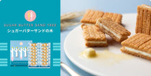 將圖片載入圖庫檢視器 ☆現貨(24小時內出貨).東京伴手禮 Sugar Butter Tree 砂糖奶油樹餅乾