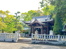 將圖片載入圖庫檢視器 【11/25~11/30預購期間/預計12月31號左右抵達台灣】 愛媛県瀬戸内銘菓 奶油蛋黃餡饅頭 8入  2026年 謹賀新年特別版本 盒裝 (附 紙袋)
