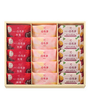 將圖片載入圖庫檢視器 【9/1~9/10預購期間/預計9月25號左右抵達台灣】1956年創業 愛媛県瀬戸内銘菓 奶油蛋黃餡饅頭 迷你母惠夢 (附 禮物紙袋)

