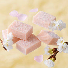 將圖片載入圖庫檢視器 ☆現貨(24小時內出貨). 日本ROYCE'   生巧克力 20個盒裝
