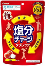 將圖片載入圖庫檢視器 ☆現貨(24小時內出貨). 日本NO.1鹽分品牌  KABAYA 塩分 鹽份 補充鹽糖 81g
