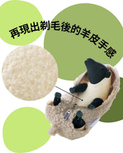 將圖片載入圖庫檢視器 ☆現貨(24小時內出貨). 神戶六甲山牧場限定版本  脫羊毛娃娃 剃毛毛玩偶
