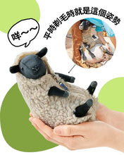 將圖片載入圖庫檢視器 ☆現貨(24小時內出貨). 神戶六甲山牧場限定版本  脫羊毛娃娃 剃毛毛玩偶
