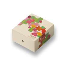 將圖片載入圖庫檢視器 【2/3-2/10預購期間/預計2月28號左右抵達台灣】 京都名店 長岡京 小倉山莊　をぐら小倉山春秋 5種迷你仙貝&amp;3種類巧克力 組合
