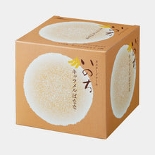 將圖片載入圖庫檢視器 【預購產品/預計1月10號左右抵達台灣】 . 青森縣必買伴手禮  蘋果卡士達蛋糕「いのち生命」
