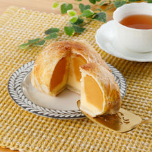 將圖片載入圖庫檢視器 【預購產品/預計1月10號左右抵達台灣】 .  青森縣產 蘋果年輪派 気になるリンゴ
